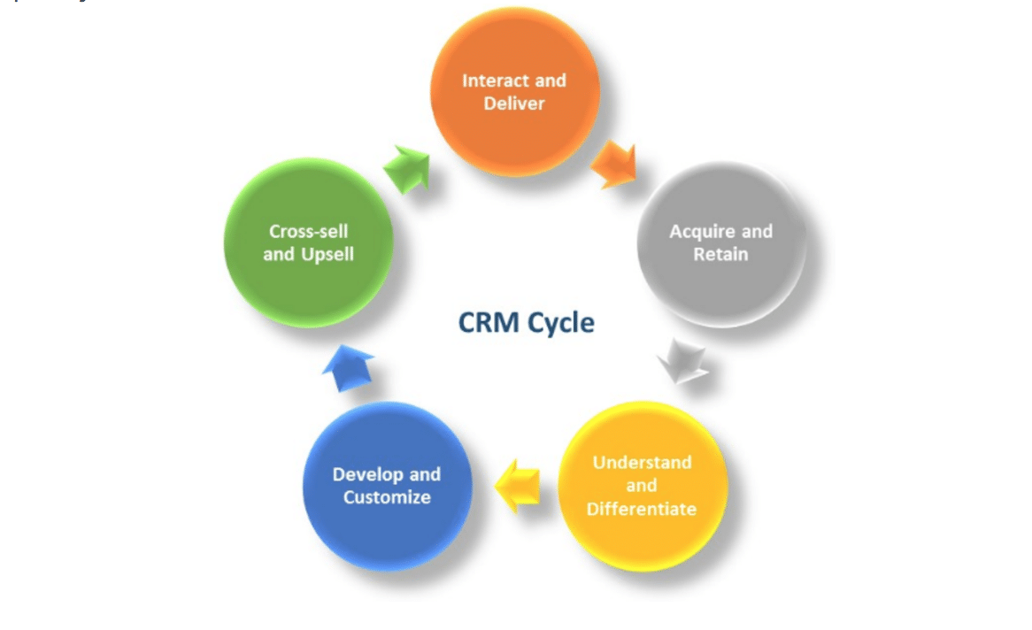 The Role of CRM in Driving Revenue Growth