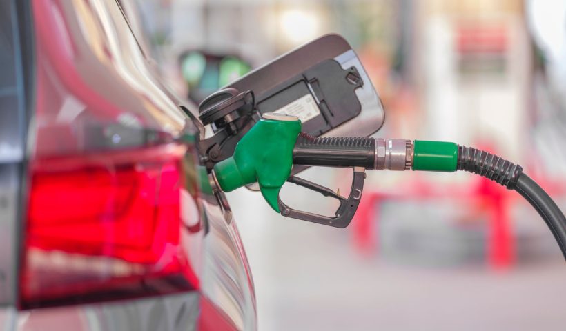 Petrol car market share